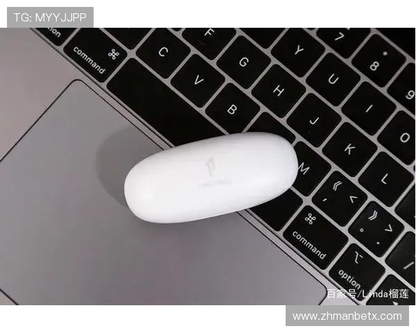 万博app下载安装官网最新官方平台,确保账号安全稳定体验更佳